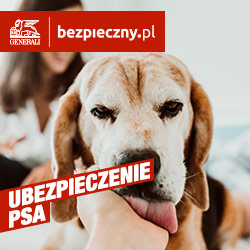 10% rabatu Ubezpieczenie psa